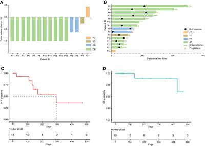 Orelabrutinib Combined With Lenalidomide and Immunochemotherapy for Relapsed/Refractory Primary Central Nervous System Lymphoma: A Retrospective Analysis of Case Series